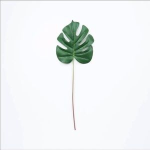 Magnolia home monstera leaf bundle